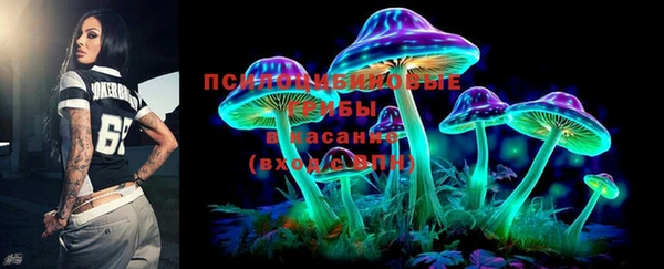 MDMA Новодвинск