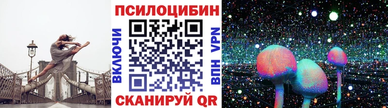 Псилоцибиновые грибы MAGIC MUSHROOMS  Купить где  Дмитриев 